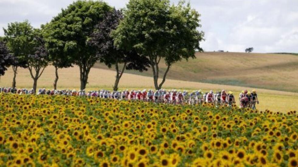 tour de france stage one yellow jersey 51cm road bicycle